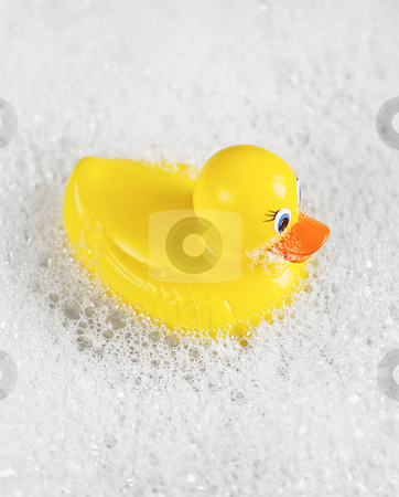 To use this stock image in your creative project, please select the size you need over to the right and click the "Add to Cart" button.
Your downloaded image will come with the Cutcaster watermark removed so don’t worry about the watermark you see on this page. Rubber Ducky bathtime stock photo, Bathtime fun with a yellow rubber ducky in a bathtub full of water and bubbles. by thisboy