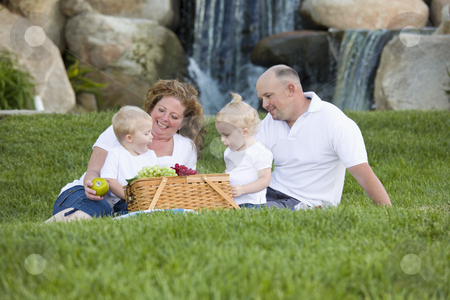 To use this stock image in your creative project, please select the size you need over to the right and click the "Add to Cart" button.
Your downloaded image will come with the Cutcaster watermark removed so don’t worry about the watermark you see on this page. Happy Young Family Enjoy Picnic in Park stock photo, Happy Adorable Young Family with Twins Enjoy a Picnic in the Park. by Andy Dean