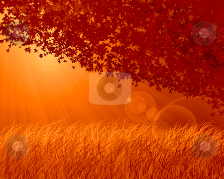 To use this stock image in your creative project, please select the size you need over to the right and click the "Add to Cart" button.
Your downloaded image will come with the Cutcaster watermark removed so don’t worry about the watermark you see on this page. Abstract forest orange background stock photo, Abstract forest background, autumn theme by olinchuk
