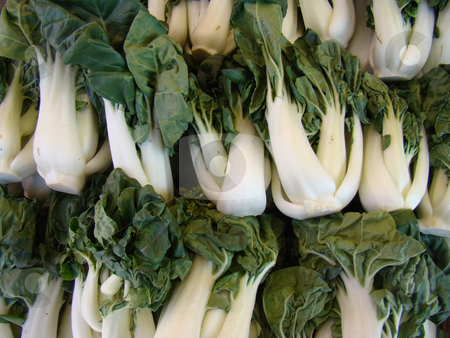 To use this stock image in your creative project, please select the size you need over to the right and click the "Add to Cart" button.
Your downloaded image will come with the Cutcaster watermark removed so don’t worry about the watermark you see on this page. Fresh Bok Choy stock photo, Fresh Bok Choy by CHERYL LAFOND