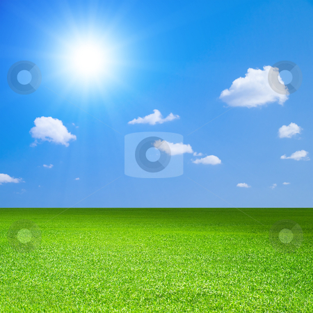 To use this stock image in your creative project, please select the size you need over to the right and click the "Add to Cart" button.
Your downloaded image will come with the Cutcaster watermark removed so don’t worry about the watermark you see on this page. Field. stock photo, Green field, blue sky with white cloud and bright sun. by Oleksiy Fedorov