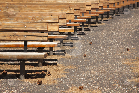 To use this stock image in your creative project, please select the size you need over to the right and click the "Add to Cart" button.
Your downloaded image will come with the Cutcaster watermark removed so don’t worry about the watermark you see on this page. Outdoor Wooden Amphitheater Seating Abstract stock photo, Outdoor Wooden Amphitheater Seating and Pine Cones and Pine Needles Abstract. by Andy Dean