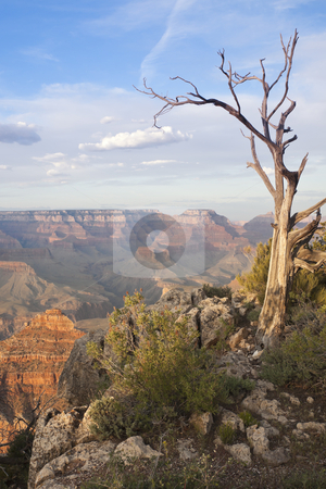 To use this stock image in your creative project, please select the size you need over to the right and click the "Add to Cart" button.
Your downloaded image will come with the Cutcaster watermark removed so don’t worry about the watermark you see on this page. Beautiful Grand Canyon Landscape View stock photo, Beautiful Landscape of the Grand Canyon, Arizona. by Andy Dean
