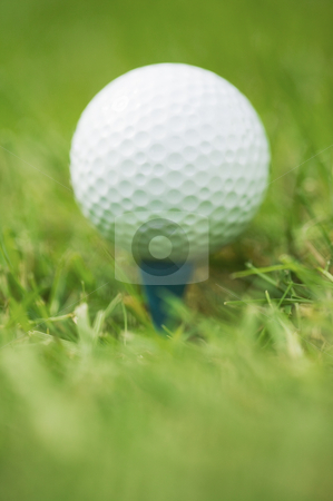To use this stock image in your creative project, please select the size you need over to the right and click the "Add to Cart" button.
Your downloaded image will come with the Cutcaster watermark removed so don’t worry about the watermark you see on this page. Detail of golfball on tee, concept photography stock photo, Golf ball on tee, concept photography by Bryan Mullennix