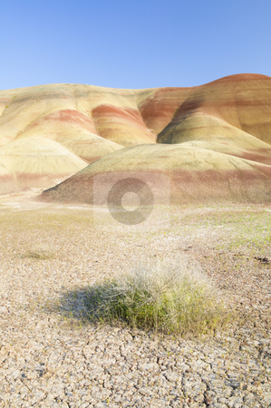 To use this stock image in your creative project, please select the size you need over to the right and click the "Add to Cart" button.
Your downloaded image will come with the Cutcaster watermark removed so don’t worry about the watermark you see on this page. Painted Hills John Day Fossil Beds National Park in Oregon, natu stock photo, Painted Hills, Oregon, nature stock photography by Bryan Mullennix