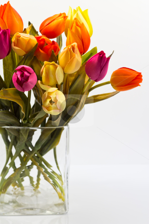 To use this stock image in your creative project, please select the size you need over to the right and click the "Add to Cart" button.
Your downloaded image will come with the Cutcaster watermark removed so don’t worry about the watermark you see on this page. Part of the bouquet of tulips stock photo, part of the bouquet of tulips different colors on a white background by ludinko