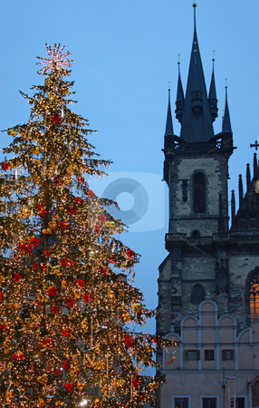 To use this stock image in your creative project, please select the size you need over to the right and click the "Add to Cart" button.
Your downloaded image will come with the Cutcaster watermark removed so don’t worry about the watermark you see on this page. Christmas tree in Prague - vertical stock photo, Christmas tree in Prague, in front of the Tyn Church by Perseomedusa