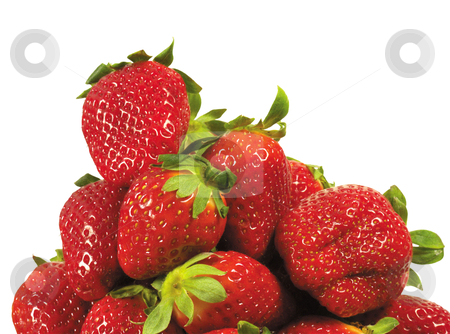 To use this stock image in your creative project, please select the size you need over to the right and click the "Add to Cart" button.
Your downloaded image will come with the Cutcaster watermark removed so don’t worry about the watermark you see on this page. Strawberries stock photo, Strawberries stacked up on white background by manavshital