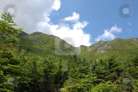 To use this stock image in your creative project, please select the size you need over to the right and click the "Add to Cart" button.
Your downloaded image will come with the Cutcaster watermark removed so don’t worry about the watermark you see on this page. On the trail stock photo, A view of Mt. Kathdin in Maine during the summer time. With clouds rolling over. by Tim Markley