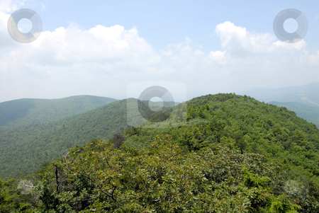 To use this stock image in your creative project, please select the size you need over to the right and click the "Add to Cart" button.
Your downloaded image will come with the Cutcaster watermark removed so don’t worry about the watermark you see on this page. Green top stock photo, View from the top of Moore's Wall in Hanging Rock State Park in North Carolina by Tim Markley