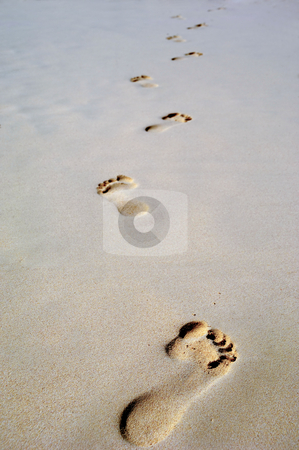 To use this stock image in your creative project, please select the size you need over to the right and click the "Add to Cart" button.
Your downloaded image will come with the Cutcaster watermark removed so don’t worry about the watermark you see on this page. Footprint in sand on beach stock photo, Footprints in the sand on a beach by Lars Christensen