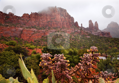 To use this stock image in your creative project, please select the size you need over to the right and click the "Add to Cart" button.
Your downloaded image will come with the Cutcaster watermark removed so don’t worry about the watermark you see on this page. Madonna and Nuns Red Rock Canyon Rain Clouds Sedona Arizona stock photo, Madonna and Nuns Red Rock Canyon from Chapel of Holy Cross Rain Clouds Green Trees Yellow Cactus Sedona Arizona by William Perry