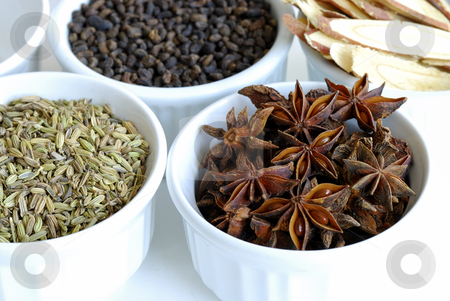 To use this stock image in your creative project, please select the size you need over to the right and click the "Add to Cart" button.
Your downloaded image will come with the Cutcaster watermark removed so don’t worry about the watermark you see on this page. Various kinds of herbal spices such as anise stars stock photo, Various kinds of herbal spices such as anise stars by johnkwan
