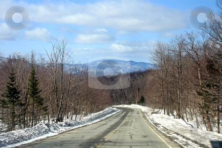 To use this stock image in your creative project, please select the size you need over to the right and click the "Add to Cart" button.
Your downloaded image will come with the Cutcaster watermark removed so don’t worry about the watermark you see on this page. Winter Road stock photo, A road in winter with trees and snow to the sides. by Lucy Clark