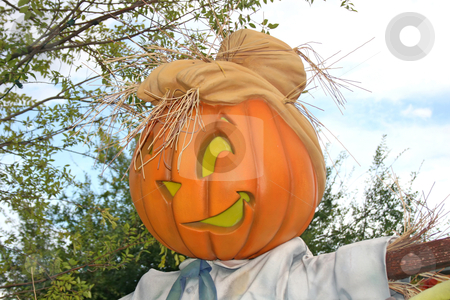 To use this stock image in your creative project, please select the size you need over to the right and click the "Add to Cart" button.
Your downloaded image will come with the Cutcaster watermark removed so don’t worry about the watermark you see on this page. Pumpkin stock photo, A pumpkin head with a funny face and hat by Lucy Clark