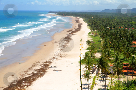 To use this stock image in your creative project, please select the size you need over to the right and click the "Add to Cart" button.
Your downloaded image will come with the Cutcaster watermark removed so don’t worry about the watermark you see on this page. Beach of Bahia stock photo, At the beach of Bahia, Brazil, South america. by Michael Osterrieder