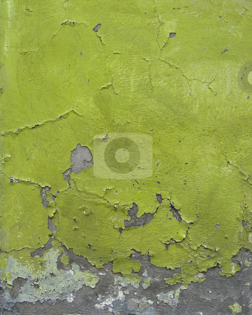 To use this stock image in your creative project, please select the size you need over to the right and click the "Add to Cart" button.
Your downloaded image will come with the Cutcaster watermark removed so don’t worry about the watermark you see on this page. Green blathering chipping paint on grunge concrete wall stock photo, green blathering chipping paint on grunge concrete wall by johnjohnson