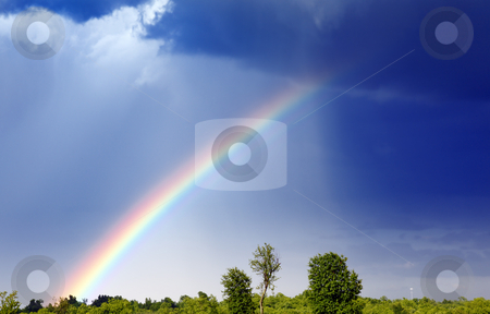 To use this stock image in your creative project, please select the size you need over to the right and click the "Add to Cart" button.
Your downloaded image will come with the Cutcaster watermark removed so don’t worry about the watermark you see on this page. Rainbow stock photo, A rainbow forms as a storm passes through by macropixel