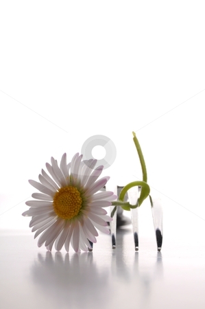 To use this stock image in your creative project, please select the size you need over to the right and click the "Add to Cart" button.
Your downloaded image will come with the Cutcaster watermark removed so don’t worry about the watermark you see on this page. Flower and fork stock photo, flower and fork isolated on a white background with copyspace showing food concept by Gunnar Pippel