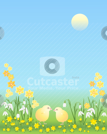 To use this stock image in your creative project, please select the size you need over to the right and click the "Add to Cart" button.
Your downloaded image will come with the Cutcaster watermark removed so don’t worry about the watermark you see on this page. Easter chicks with flowers stock vector clipart, an illustration of two easter chicks amongst snowdrops aconites and daffodils on a blue sky background by Mike Smith
