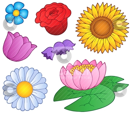 To use this stock image in your creative project, please select the size you need over to the right and click the "Add to Cart" button.
Your downloaded image will come with the Cutcaster watermark removed so don’t worry about the watermark you see on this page. Various flowers set stock vector clipart, Various flowers set - vector illustration. by Klara Viskova
