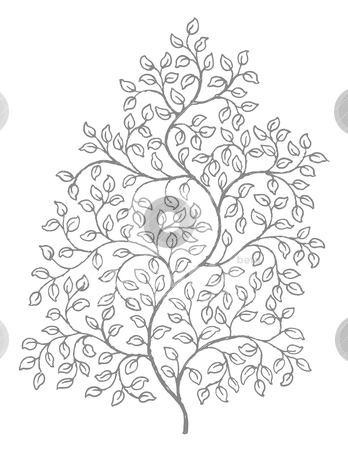 ornate elegant curly vines illustration stock vector