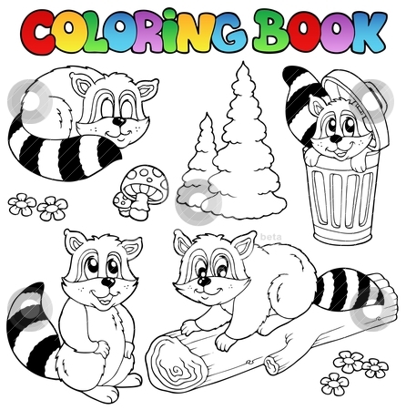 Coloring Book With Cute Racoons