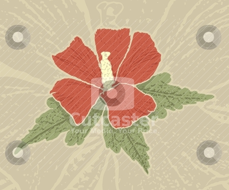 To use this stock image in your creative project, please select the size you need over to the right and click the "Add to Cart" button.
Your downloaded image will come with the Cutcaster watermark removed so don’t worry about the watermark you see on this page. Red hibiscus stock vector clipart, Red hibiscus flower with grunge shading on grunge beige background. by fractal.gr