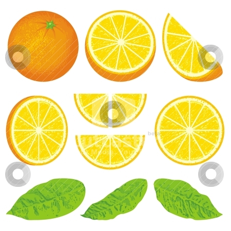 To use this stock image in your creative project, please select the size you need over to the right and click the "Add to Cart" button.
Your downloaded image will come with the Cutcaster watermark removed so don’t worry about the watermark you see on this page. Orange stock vector clipart, Orange and slices at different angles, also three versions of leafs all with grunge shading. by fractal.gr